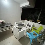 Dragoti 2 גולם